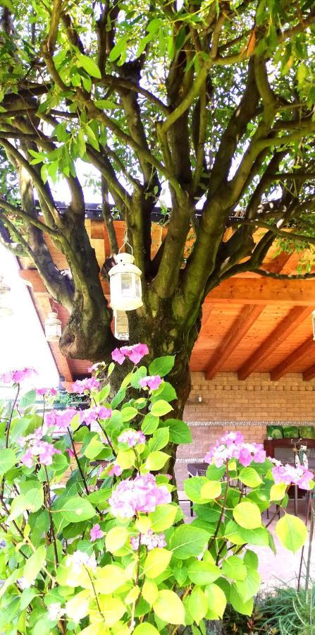 Su Misura Villa Molini  Dış mekan fotoğraf